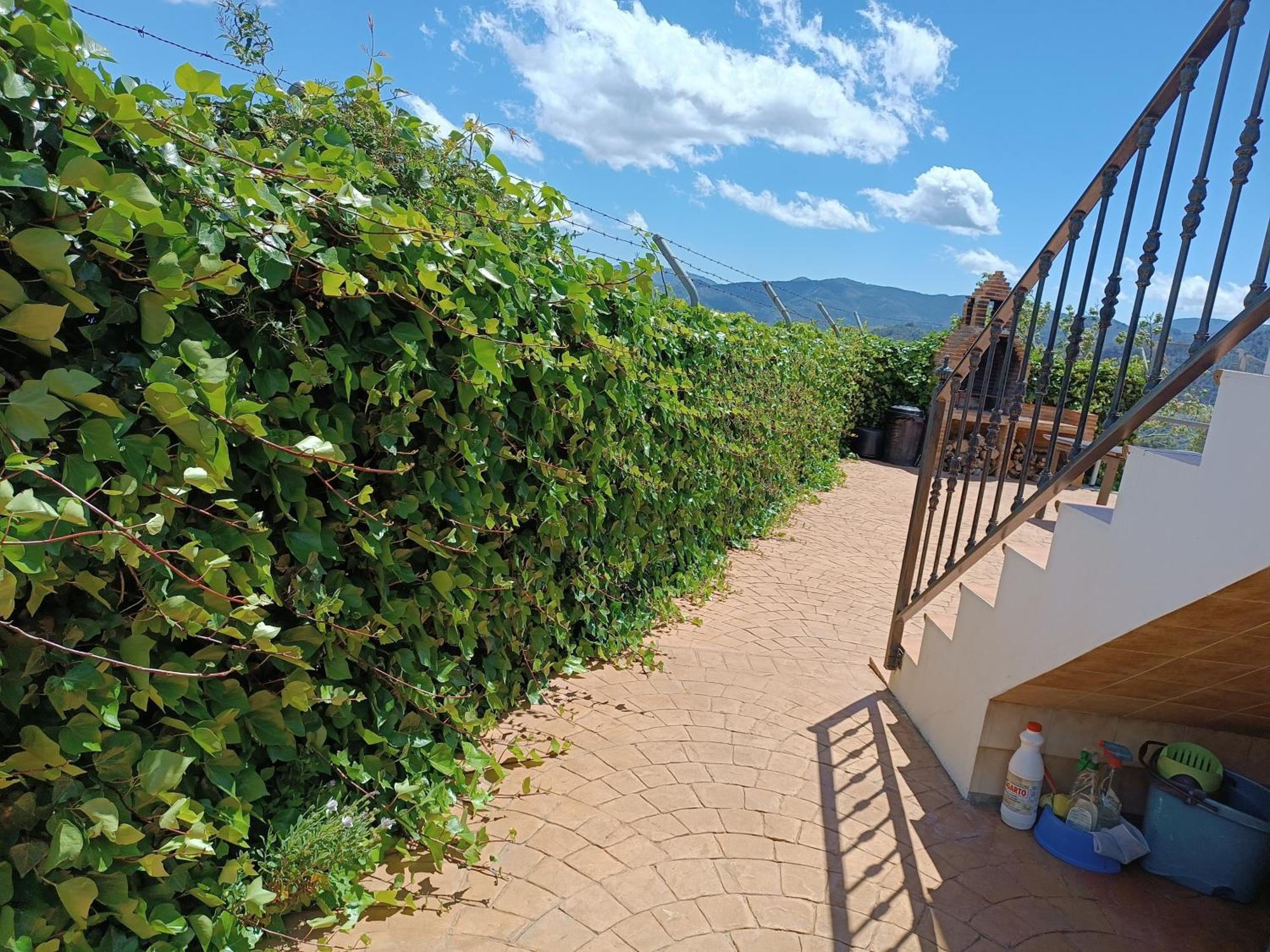 Casa Rural La Revuelta Con Las Mejores Vistas A La Naturaleza Yunquera Exterior foto